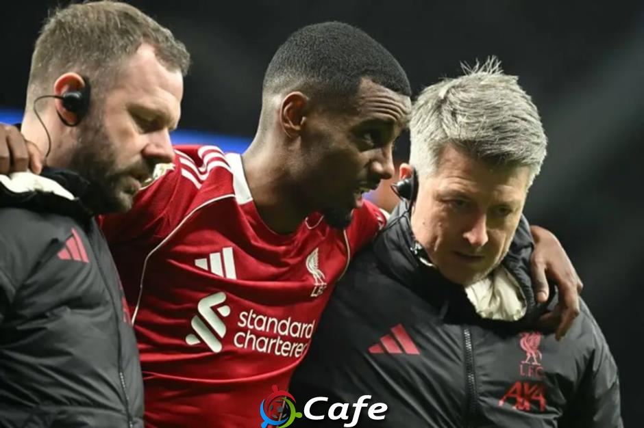 Alexander Isak phẫu thuật gãy chân thành công, nghỉ vài tháng Alexander Isak phẫu thuật gãy chân thành công, nghỉ vài tháng