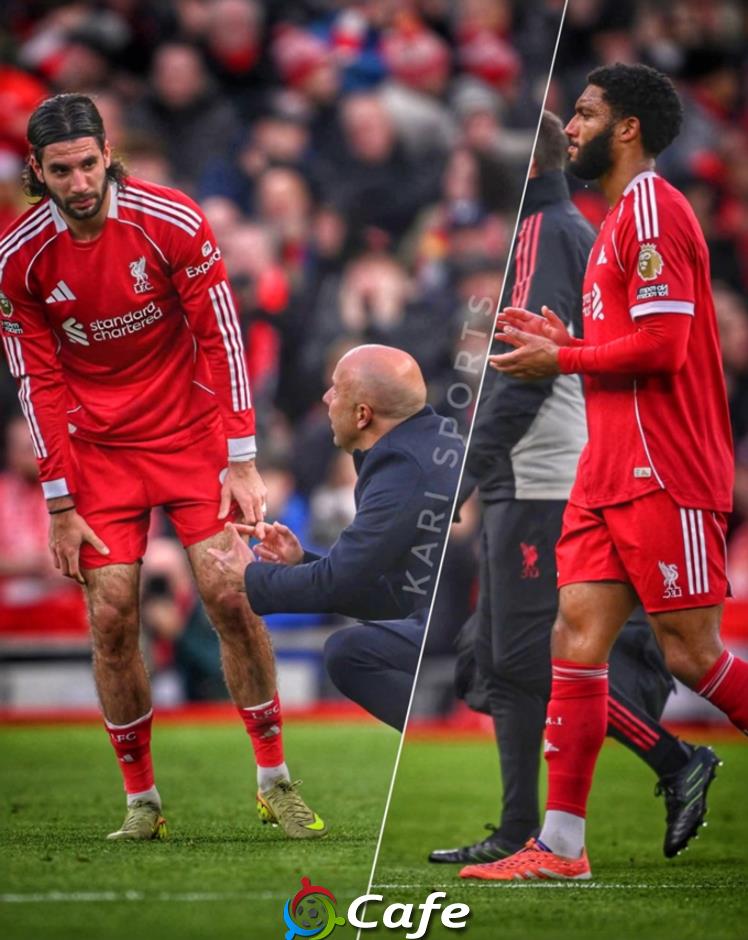 Liverpool có thể vắng tới 7 cầu thủ ở trận gặp Tottenham