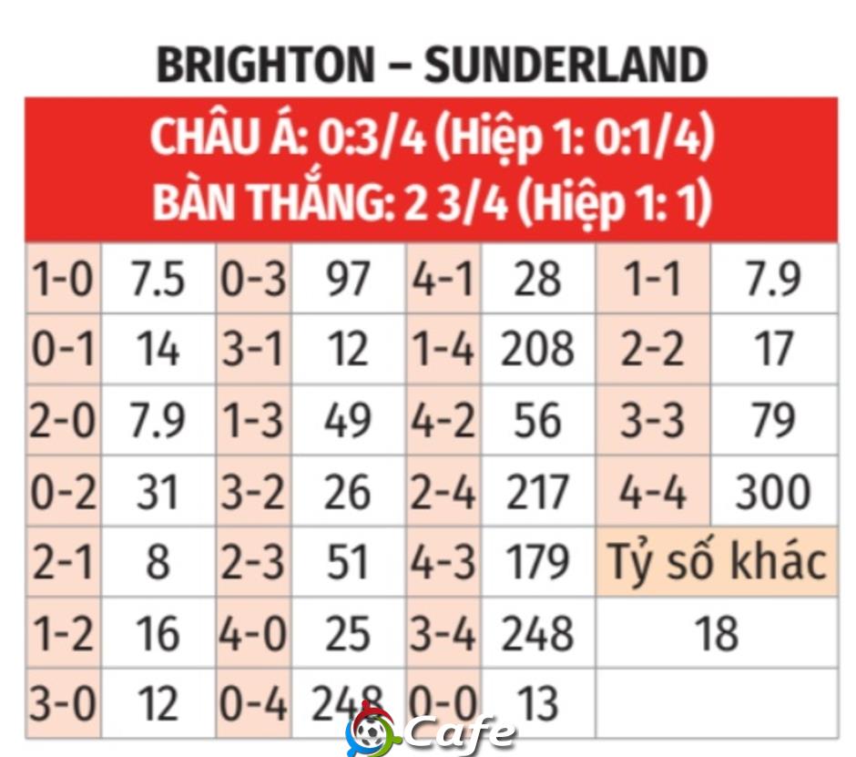 Nhận định bóng đá Brighton vs Sunderland, 22h00 ngày 20/12: Gặp phải con Mèo lì!