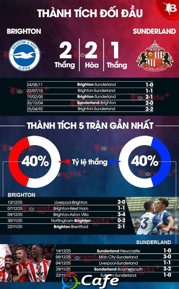 Nhận định bóng đá Brighton vs Sunderland, 22h00 ngày 20/12: Gặp phải con Mèo lì!