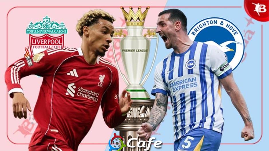 Nhận định bóng đá Liverpool vs Brighton, 22h00 ngày 13/12: Mòng biển quậy tung 'tổ cò'