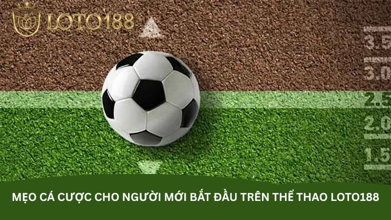 Mẹo cá cược cho người mới bắt đầu trên thể thao Loto188
